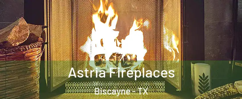Astria Fireplaces Biscayne - TX