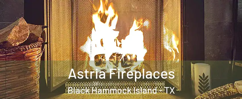 Astria Fireplaces Black Hammock Island - TX
