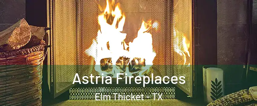 Astria Fireplaces Elm Thicket - TX
