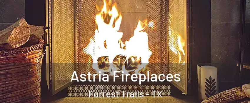 Astria Fireplaces Forrest Trails - TX