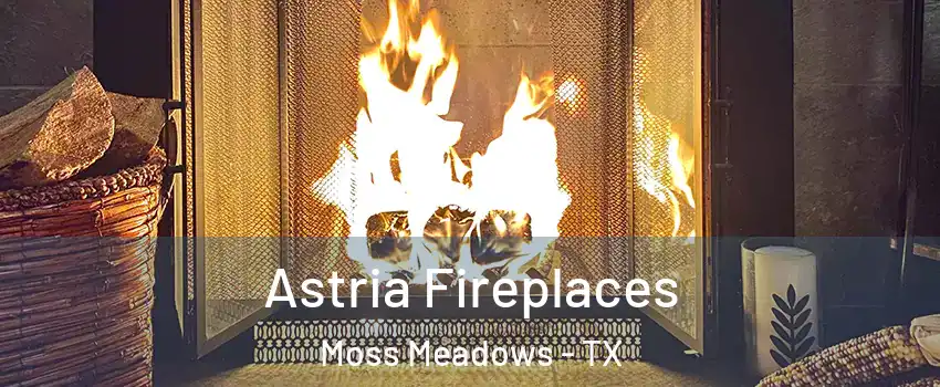 Astria Fireplaces Moss Meadows - TX