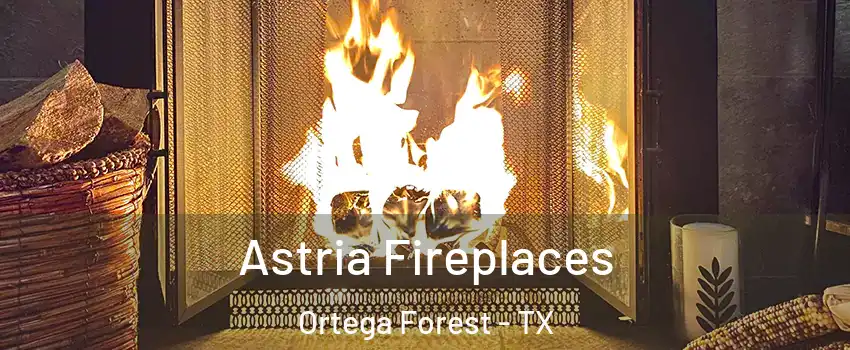 Astria Fireplaces Ortega Forest - TX