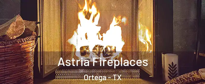 Astria Fireplaces Ortega - TX