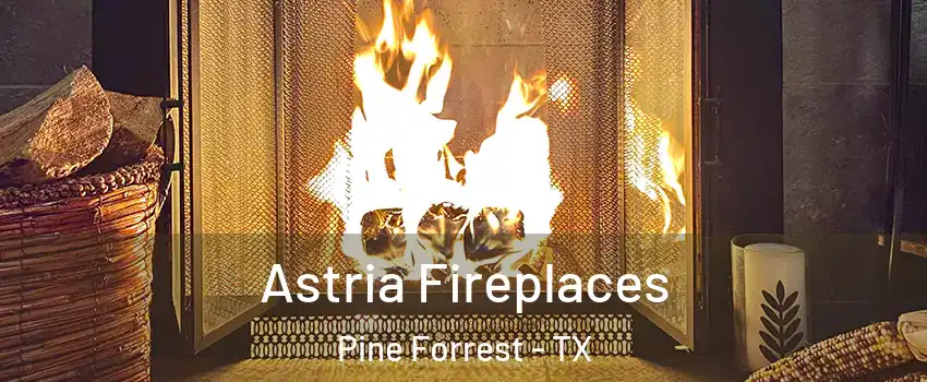 Astria Fireplaces Pine Forrest - TX