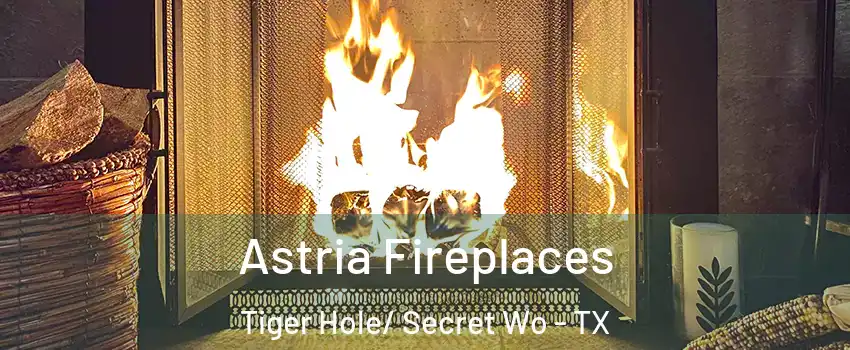 Astria Fireplaces Tiger Hole/ Secret Wo - TX