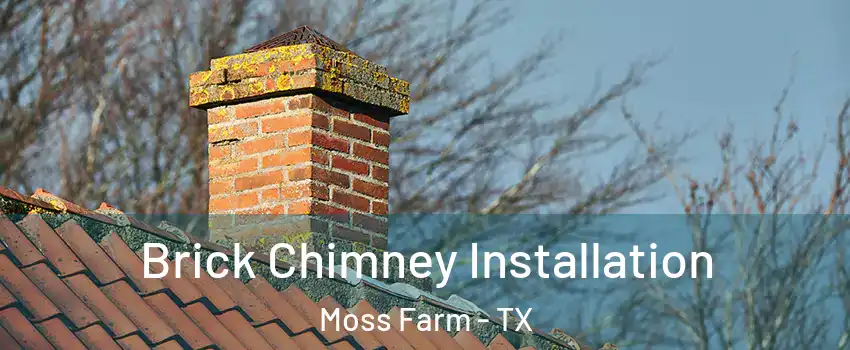 Brick Chimney Installation Moss Farm - TX
