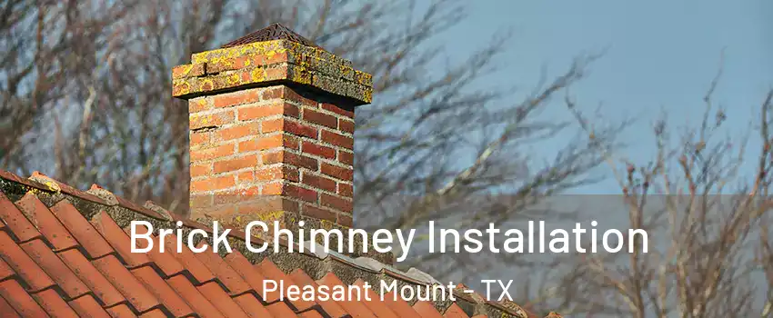 Brick Chimney Installation Pleasant Mount - TX