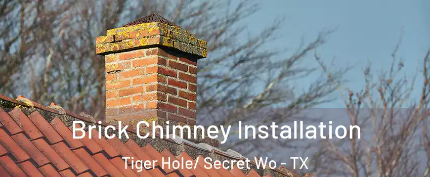 Brick Chimney Installation Tiger Hole/ Secret Wo - TX