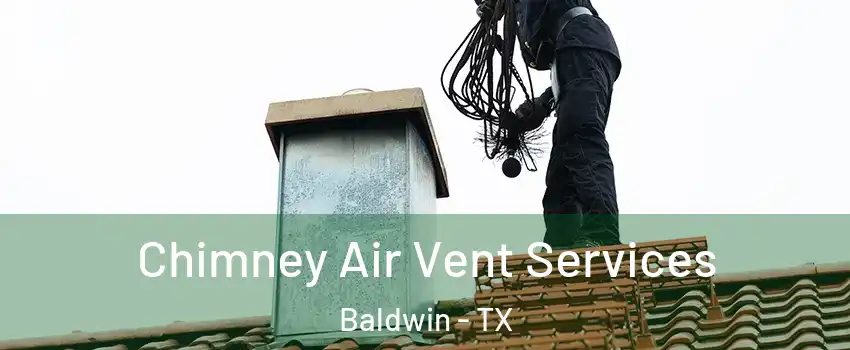 Chimney Air Vent Services Baldwin - TX