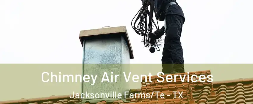Chimney Air Vent Services Jacksonville Farms/Te - TX