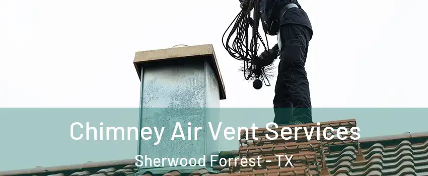 Chimney Air Vent Services Sherwood Forrest - TX