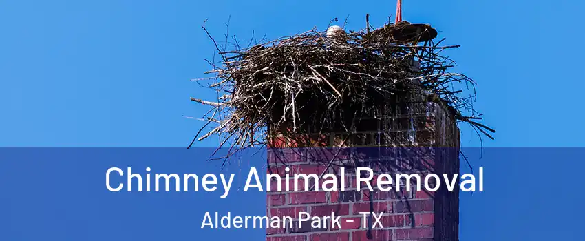 Chimney Animal Removal Alderman Park - TX