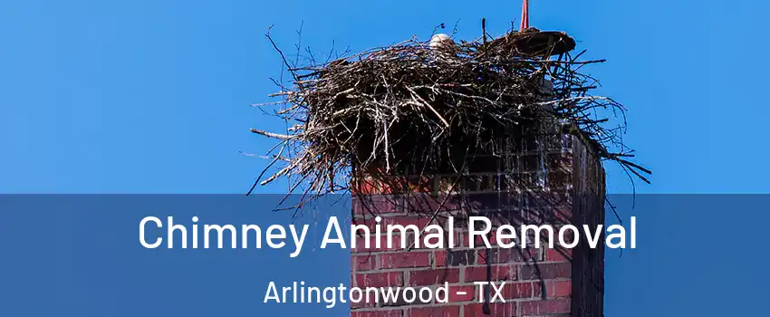 Chimney Animal Removal Arlingtonwood - TX