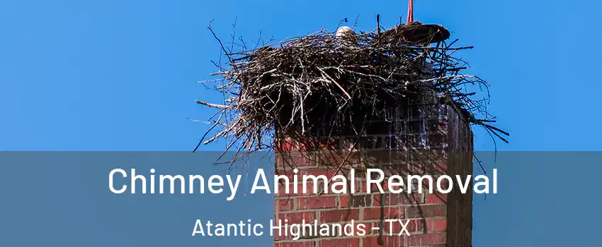 Chimney Animal Removal Atantic Highlands - TX