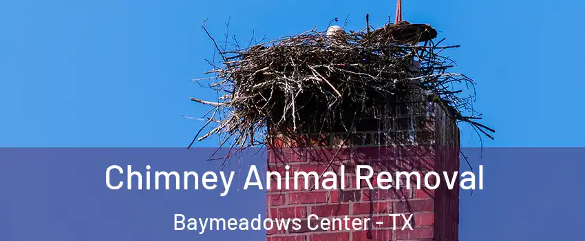 Chimney Animal Removal Baymeadows Center - TX