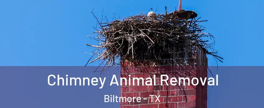 Chimney Animal Removal Biltmore - TX