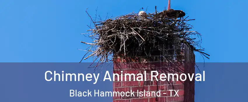 Chimney Animal Removal Black Hammock Island - TX