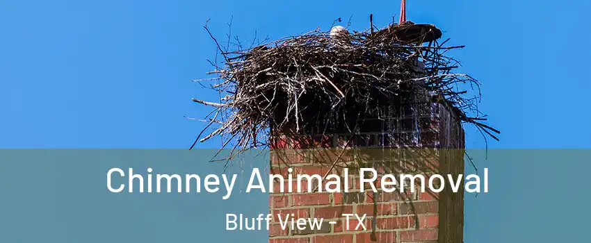 Chimney Animal Removal Bluff View - TX