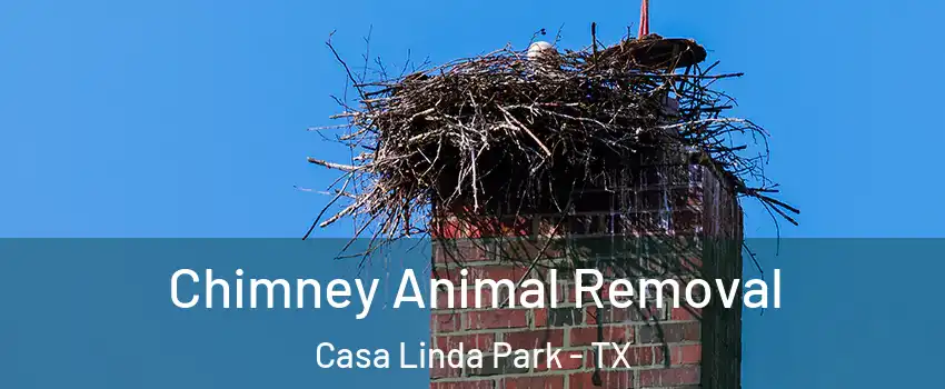 Chimney Animal Removal Casa Linda Park - TX