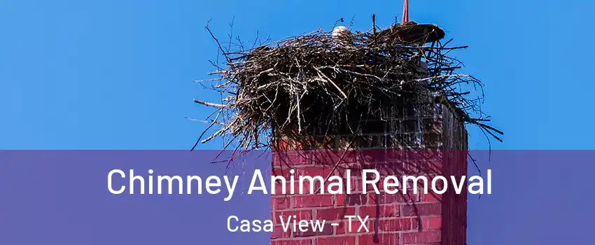 Chimney Animal Removal Casa View - TX