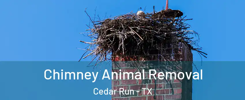Chimney Animal Removal Cedar Run - TX