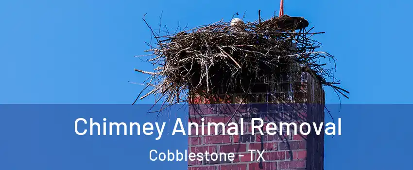 Chimney Animal Removal Cobblestone - TX