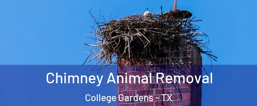 Chimney Animal Removal College Gardens - TX