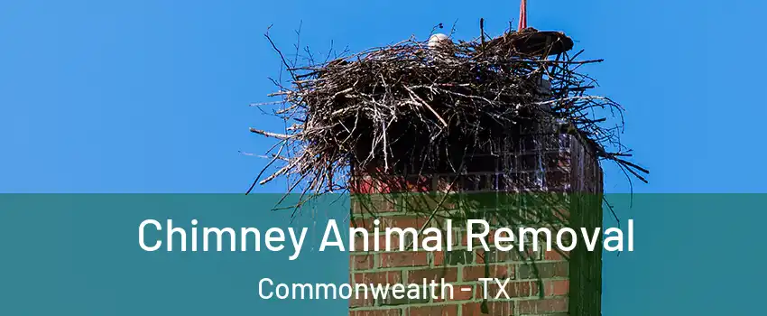 Chimney Animal Removal Commonwealth - TX