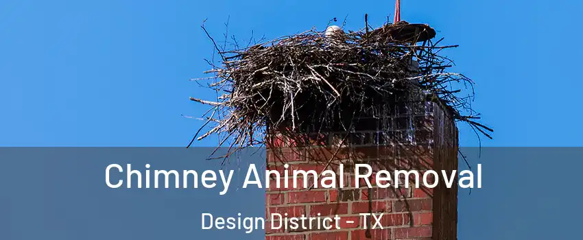 Chimney Animal Removal Design District - TX