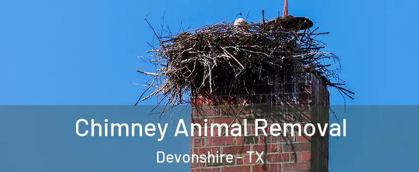 Chimney Animal Removal Devonshire - TX