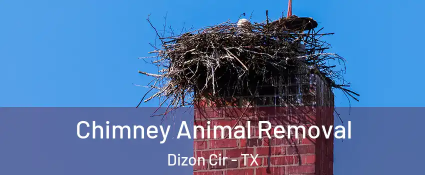 Chimney Animal Removal Dizon Cir - TX