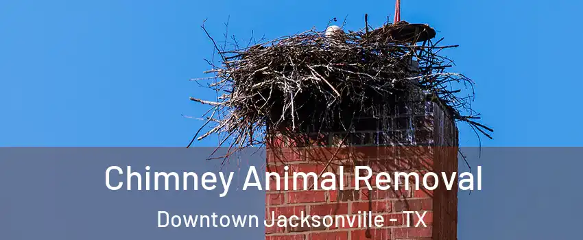 Chimney Animal Removal Downtown Jacksonville - TX