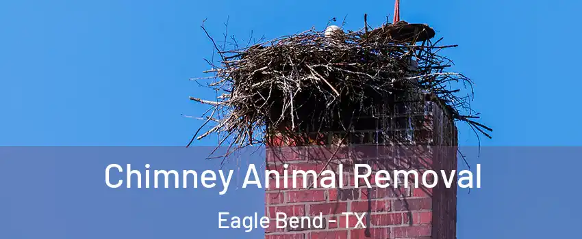 Chimney Animal Removal Eagle Bend - TX