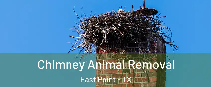 Chimney Animal Removal East Point - TX