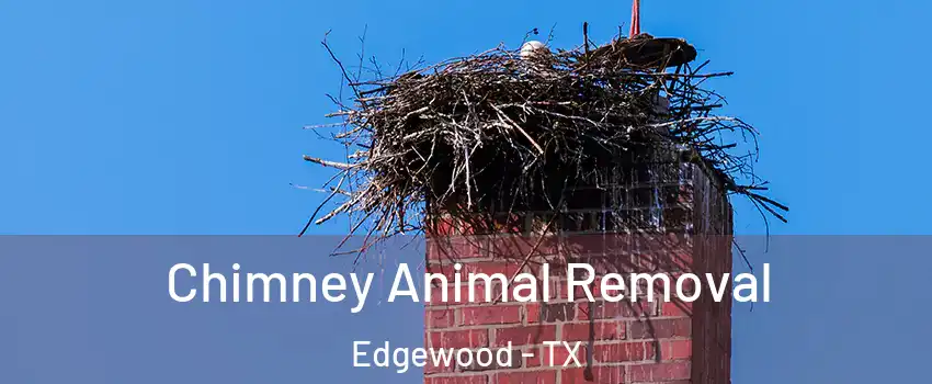 Chimney Animal Removal Edgewood - TX