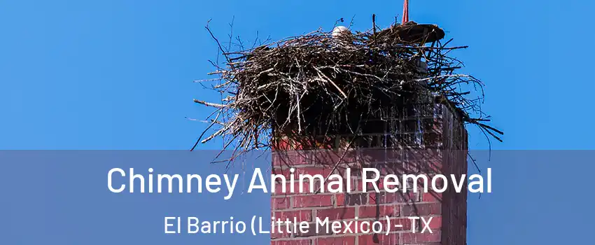 Chimney Animal Removal El Barrio (Little Mexico) - TX