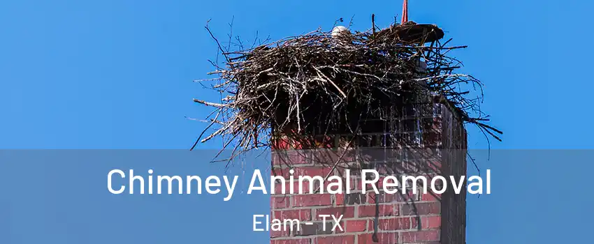 Chimney Animal Removal Elam - TX