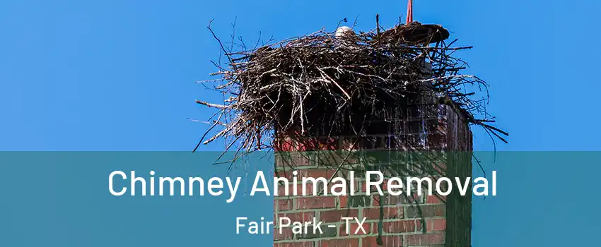 Chimney Animal Removal Fair Park - TX