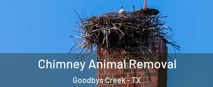 Chimney Animal Removal Goodbys Creek - TX