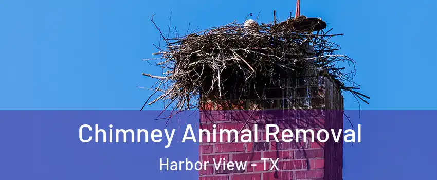 Chimney Animal Removal Harbor View - TX