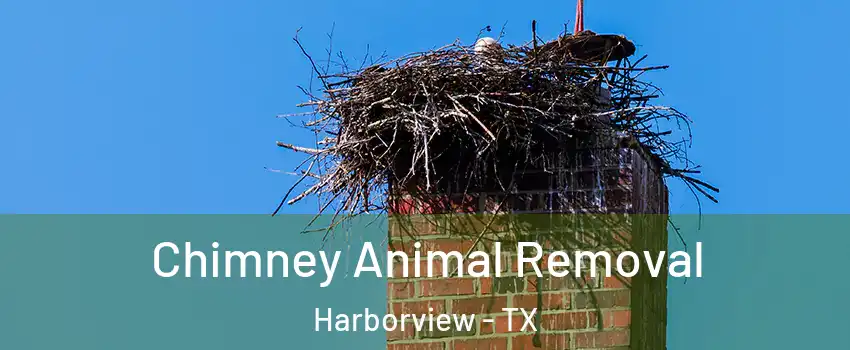 Chimney Animal Removal Harborview - TX