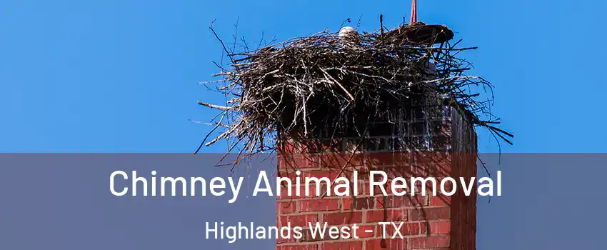 Chimney Animal Removal Highlands West - TX