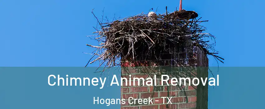 Chimney Animal Removal Hogans Creek - TX