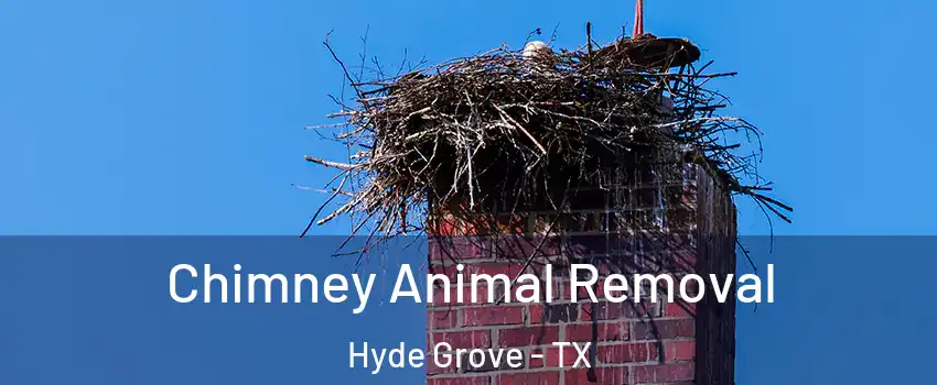 Chimney Animal Removal Hyde Grove - TX