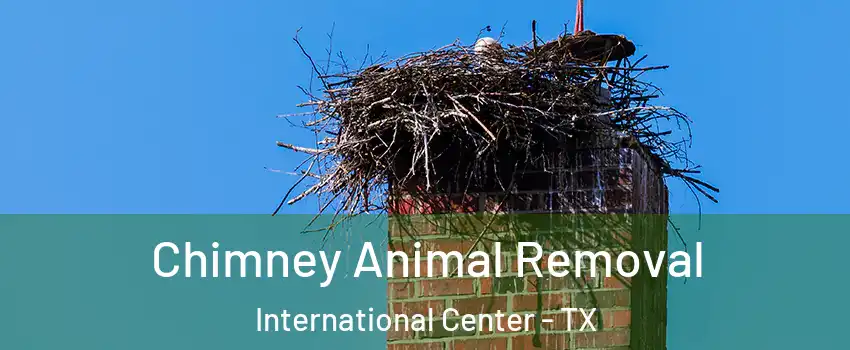 Chimney Animal Removal International Center - TX