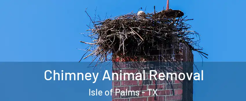 Chimney Animal Removal Isle of Palms - TX