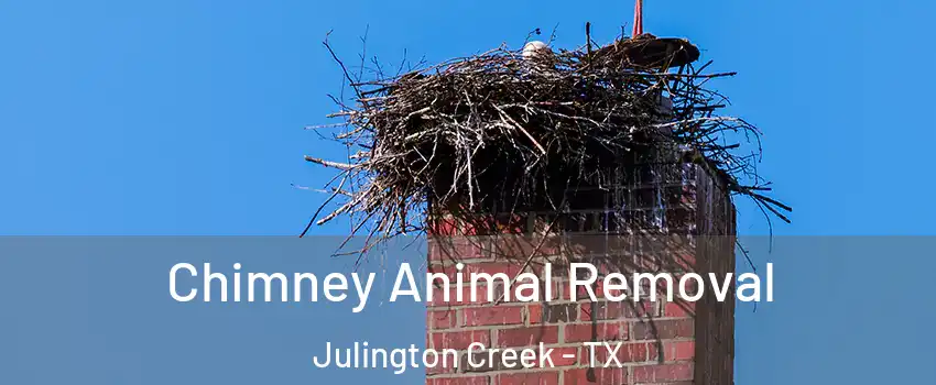 Chimney Animal Removal Julington Creek - TX