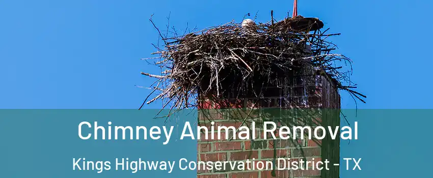 Chimney Animal Removal Kings Highway Conservation District - TX