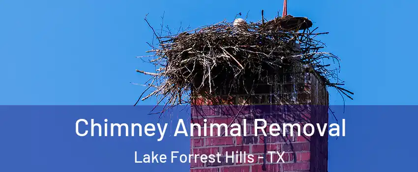 Chimney Animal Removal Lake Forrest Hills - TX