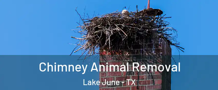 Chimney Animal Removal Lake June - TX